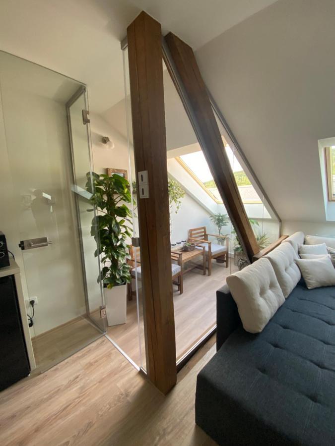 Apartmany & Wellness Revenite Jeseník المظهر الخارجي الصورة